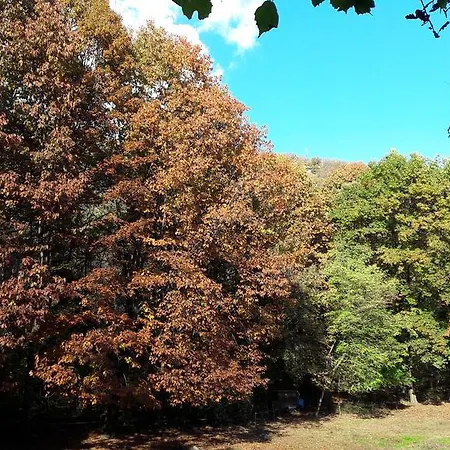 Апартаменты Casa Monastero *